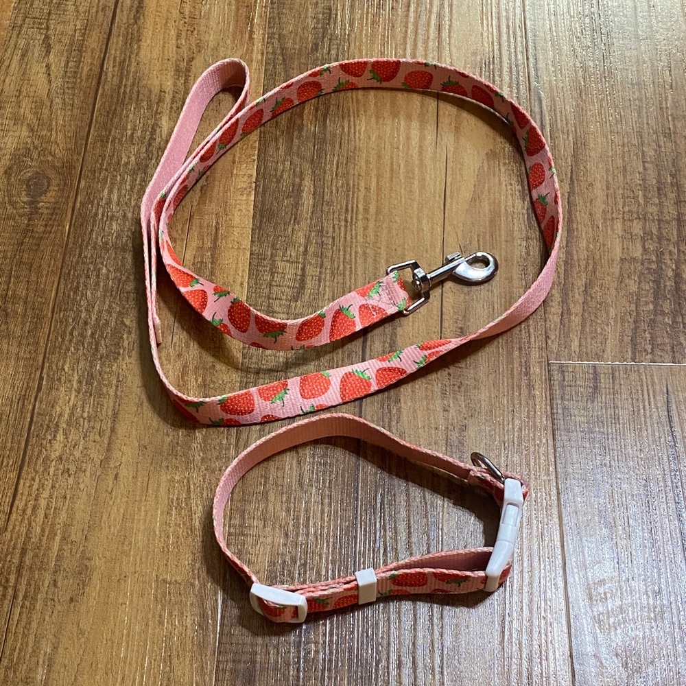 Pink Strawberry dog leash and dog collar